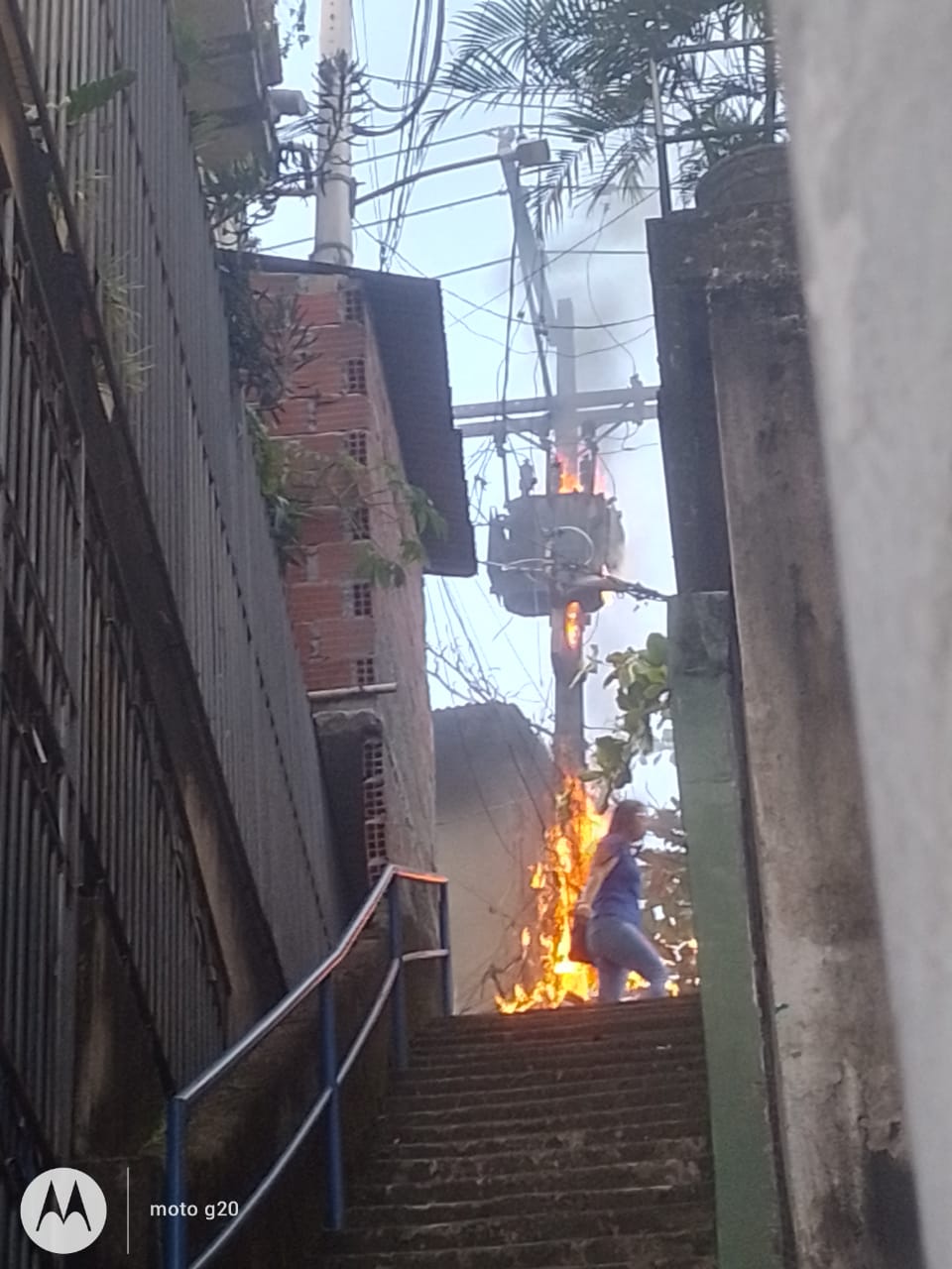 Leitor / PS Notícias
