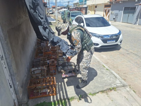 Foto: Divulgação / GCM