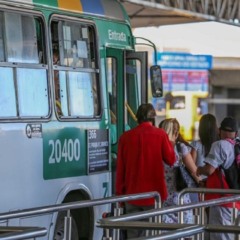 Foto: Bruno Concha/PMS