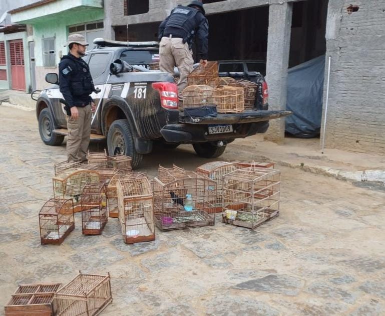 Foto: Divulgação / MPBA