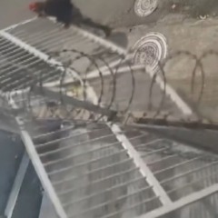 criminosos furtam portão na Graça