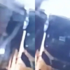 onibus amarelinhos
