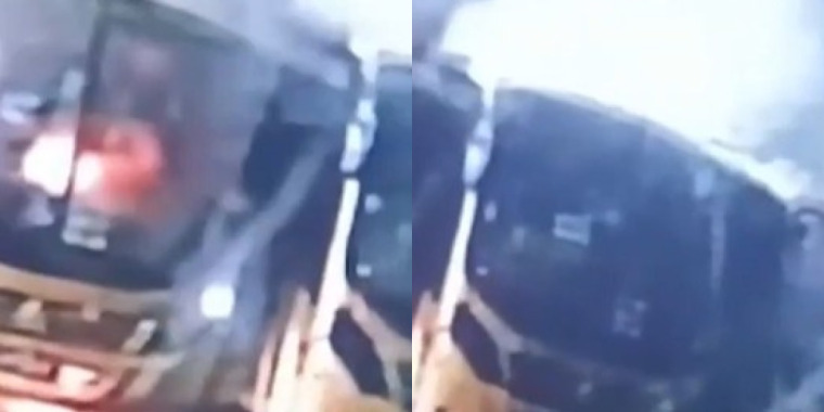 onibus amarelinhos