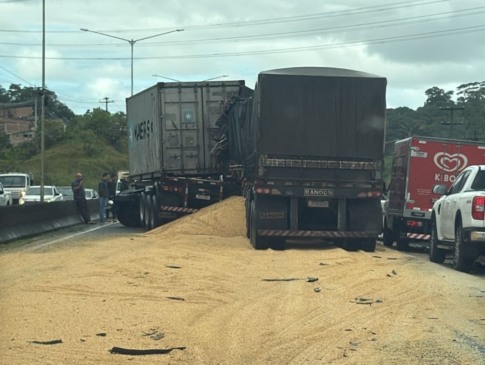 Carga de soja BR324
