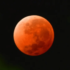 Foto: Getty Imagens