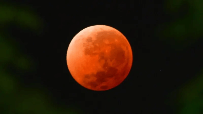 Foto: Getty Imagens