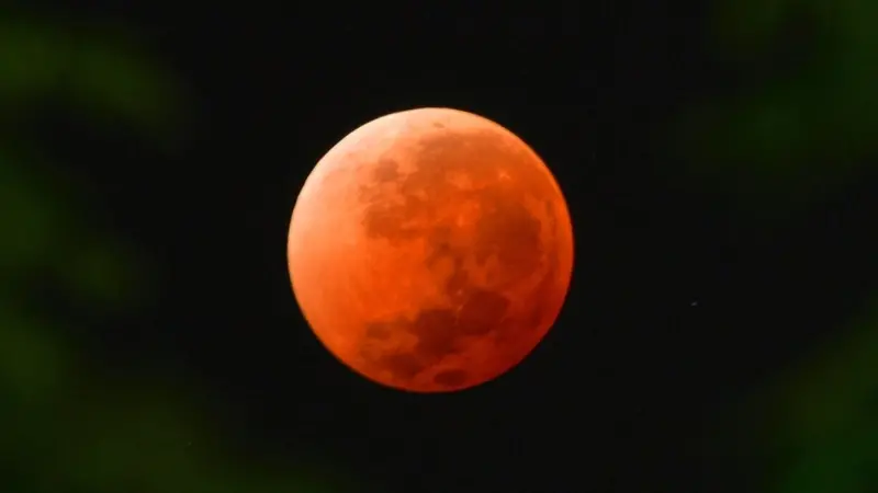 Foto: Getty Imagens