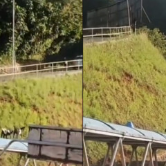 Foto: Reprodução redes sociais