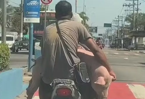 Foto: Reprodução/TV Globo