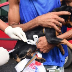 Foto: Divulgação/SMS
