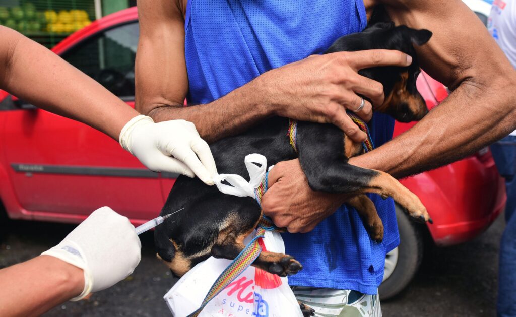 Foto: Divulgação/SMS