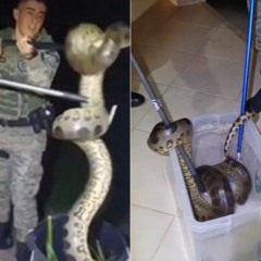 Foto: Reprodução/PM