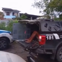 Foto: Reprodução/Polícia Civil