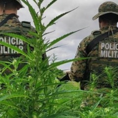 Foto: Divulgação/PM-BA