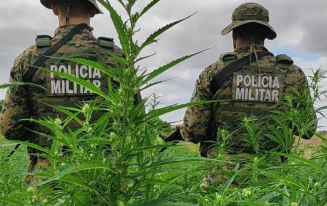 Foto: Divulgação/PM-BA