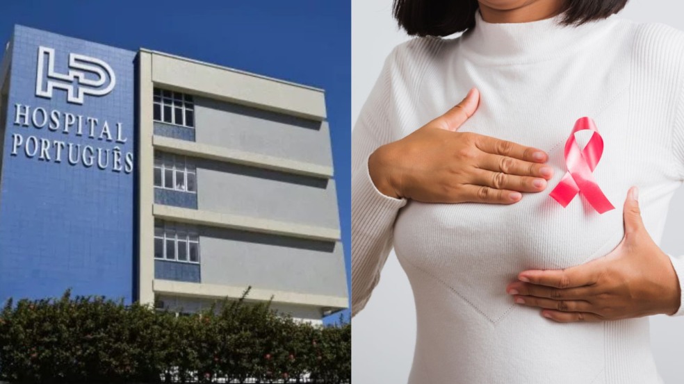 Foto: Divulgação - Reprodução/Canva