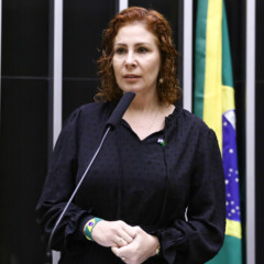 Deputada Carla Zambelli. Foto: Vinicius Loures/Câmara dos Deputados