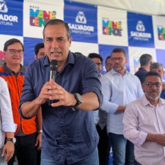Ane Catarine  / PS Notícias