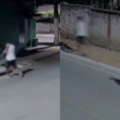 mulher tem celular roubado