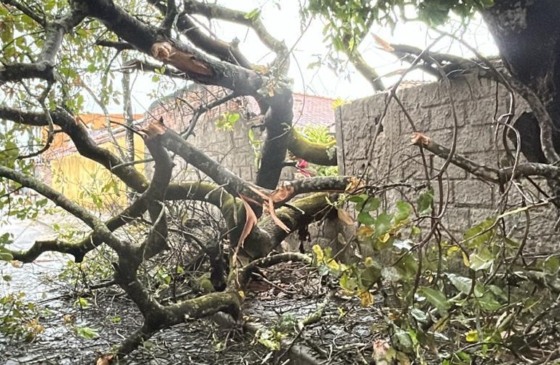 Foto: Reprodução/Neoenega Coelba 