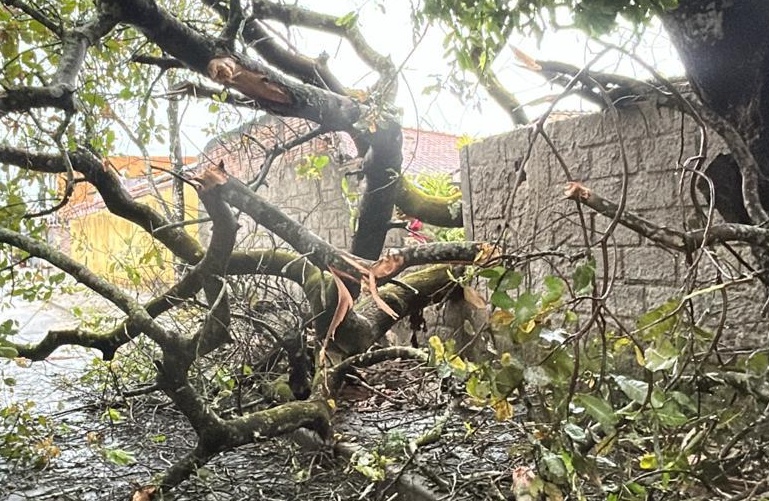 Foto: Reprodução/Neoenega Coelba 