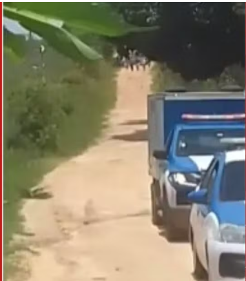 Foto: Reprodução / TV Bahia