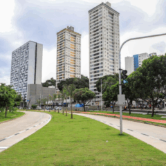 Foto: Bruno Concha / Secom PMS