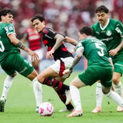 Foto: GIlvan de Souza/Flamengo
