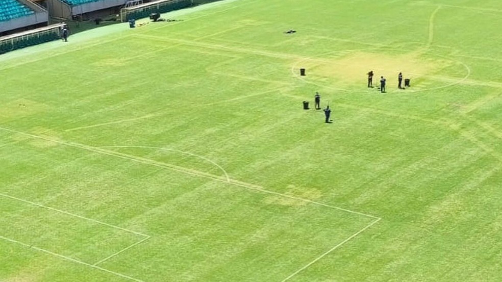 Foto: Divulgação/Greenleaf Gramados