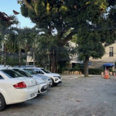 Foto: Reprodução/Silvana Olivieri