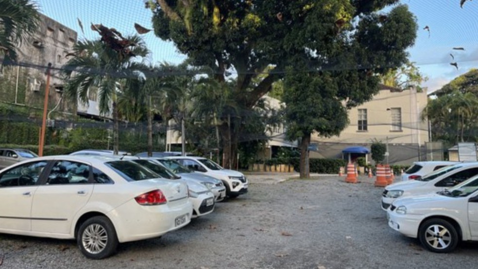 Foto: Reprodução/Silvana Olivieri