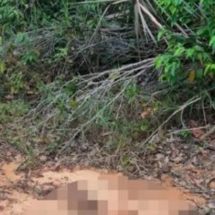 O corpo da mulher foi encontrado na BA-099