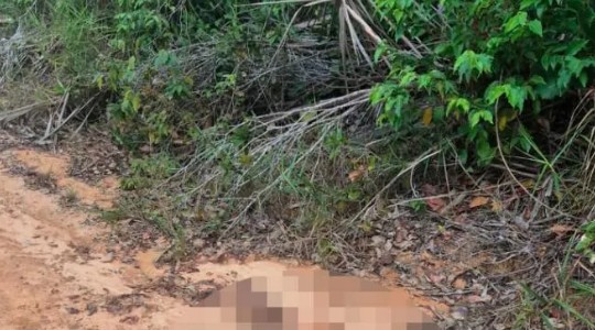 O corpo da mulher foi encontrado na BA-099
