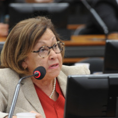 Deputada Lídice da Mata. Foto: Renato Araújo/Câmara dos Deputados Deputada Lídice da Mata. Foto: Renato Araújo/Câmara dos Deputados