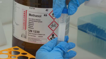 Foto: TV Globo/Reprodução Foto: TV Globo/Reprodução