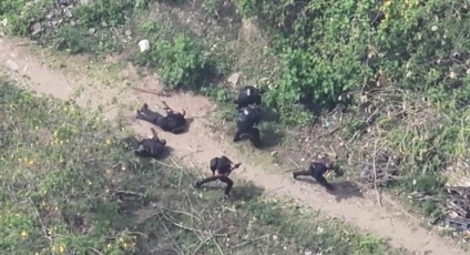 Reprodução Reprodução