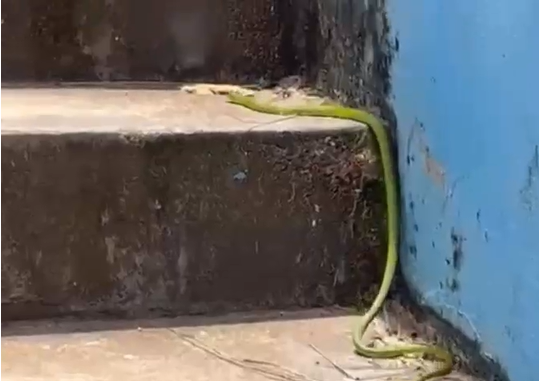 Rede Social Rede Social