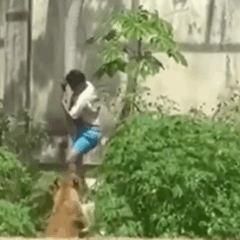 Foto: Reprodução/ Redes Sociais