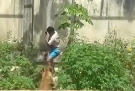 Foto: Reprodução/ Redes Sociais