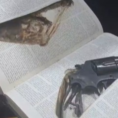 Foto: Reprodução/Ficco