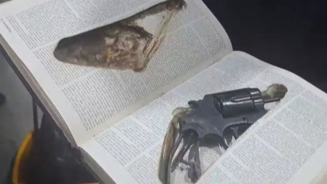 Foto: Reprodução/Ficco