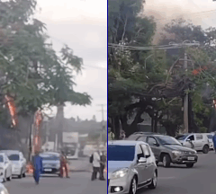 Vídeo / Reprodução 