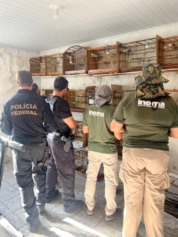 Foto: Divulgação / PF