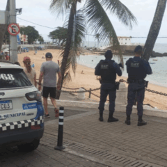 Foto: Divulgação / GCM