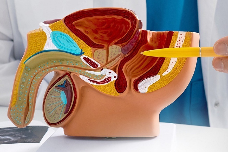 Foto: Divulgação Foto: Divulgação