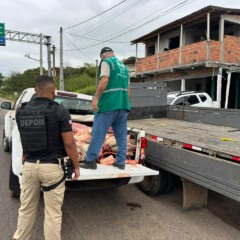 Foto: Divulgação/Polícia Civil