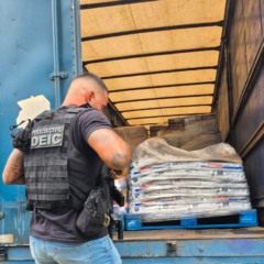 Foto: Divulgação/Polícia Civil