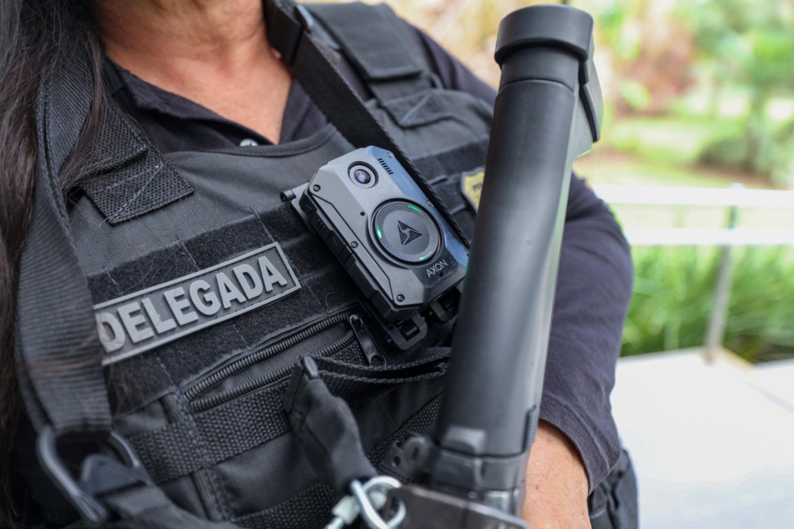 Foto: Divulgação / Polícia Civil