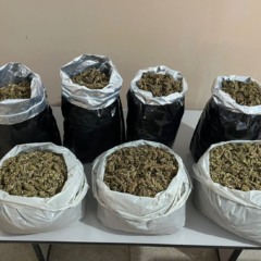 Foto: Reprodução/Polícia Militar