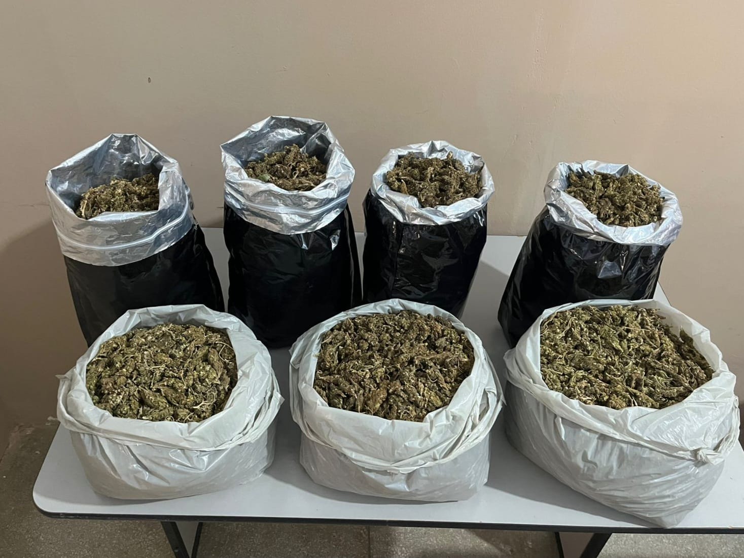 Foto: Reprodução/Polícia Militar